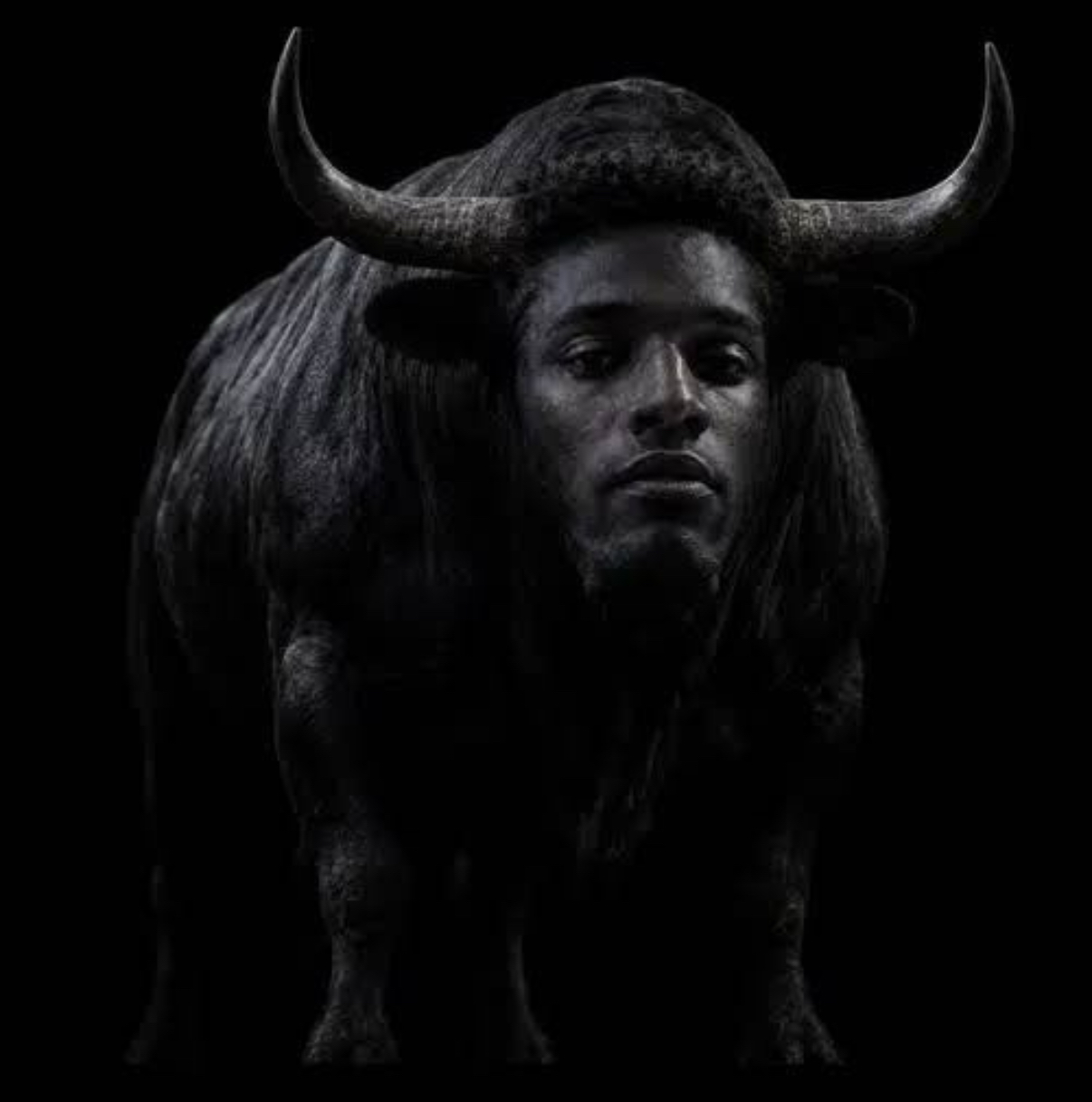 The Black Bull